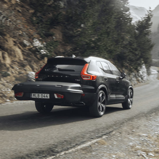 Thule Arcos box L