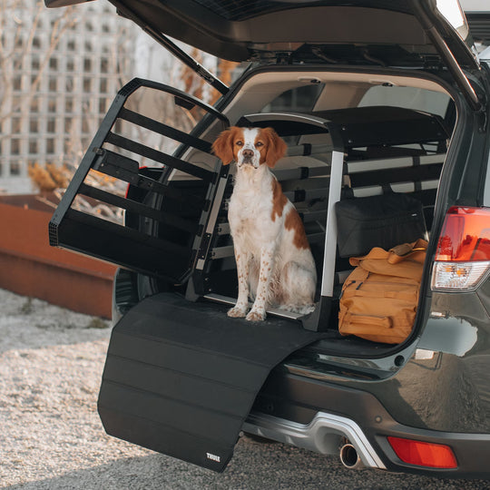 Thule Allax Dog Crate -  L Compact