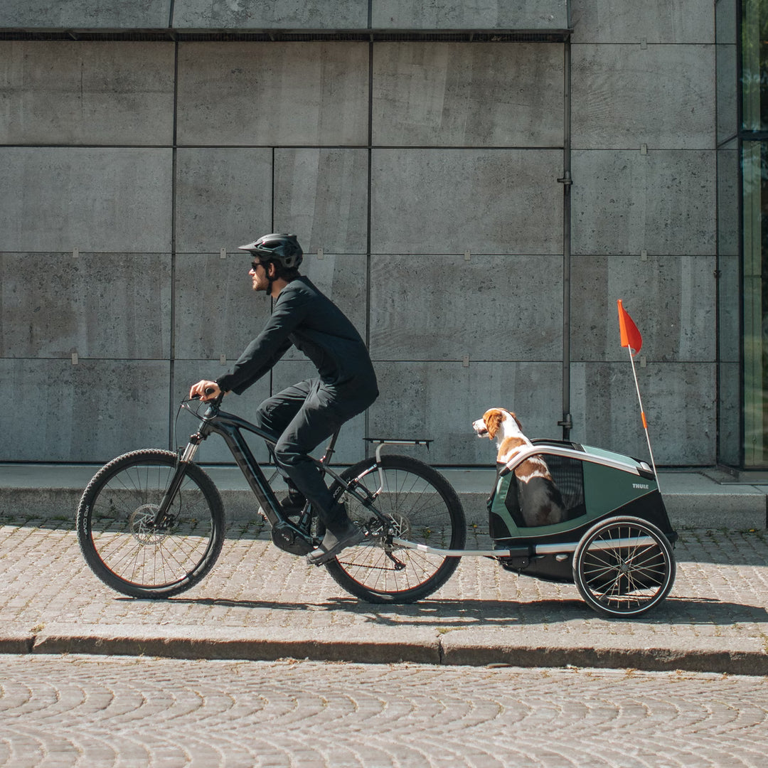 Thule Bexey M Dog - bike trailer - 800000