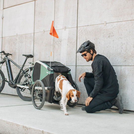 Thule Bexey M Dog - bike trailer - 800000