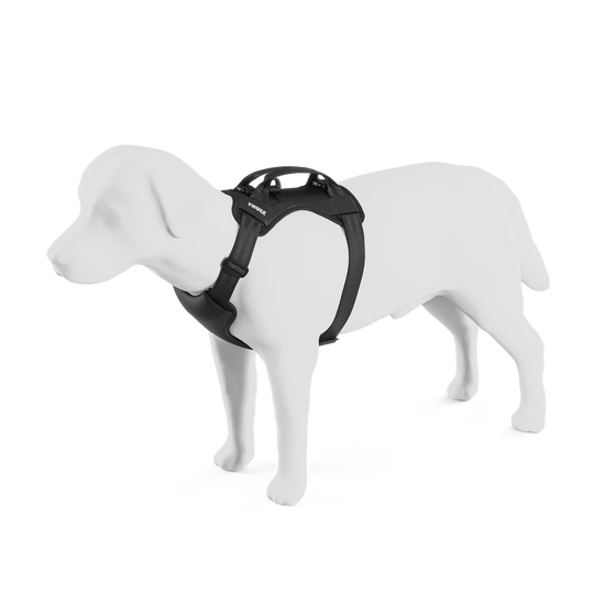 Thule Cappy dog car harness L - 711003