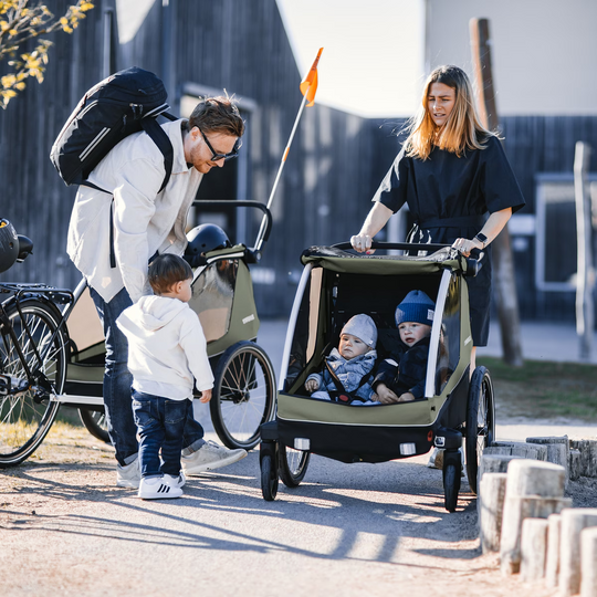 Thule Courier kids, dog, cargo bike trailer