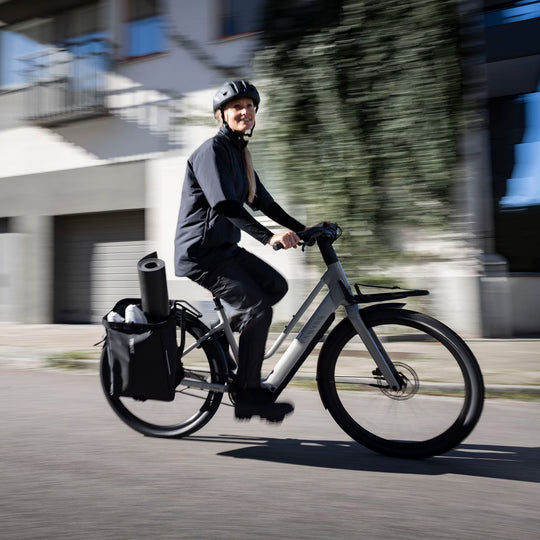 Thule Chasm cargo bin bag for bike with InLock 25L