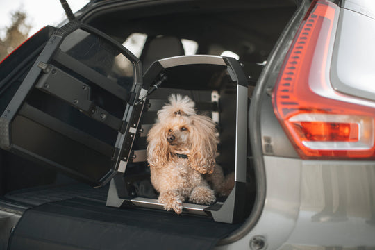 Thule Allax Dog Crate - XS