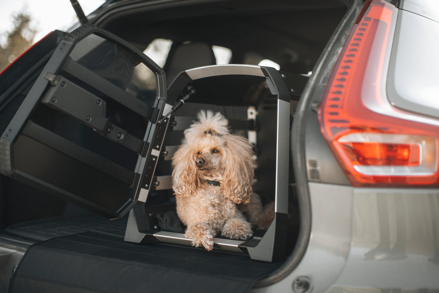 Thule Allax Dog Crate Small Roof Boxed