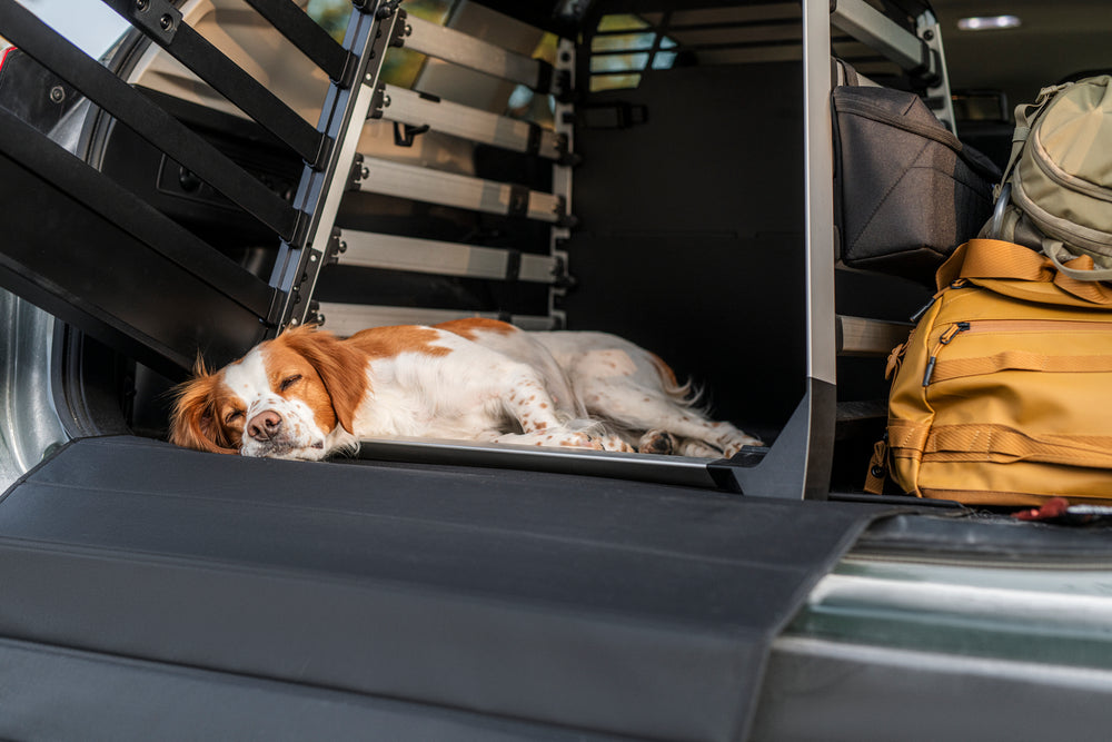 Storage Bag - Thule Allax Dog Crate Accessories