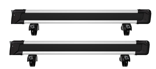 Thule 732600 SnowPack L Silver - 6 Skis or 4 Snowboards