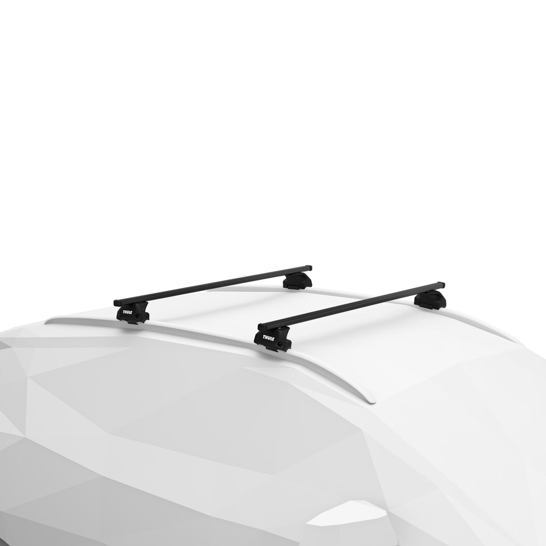 Black roof rack system on a white car
