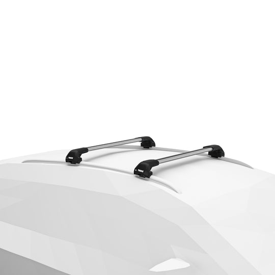 Car roof rack system on a white car